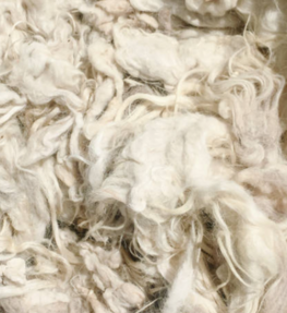 raw silk